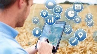 Specialist Services